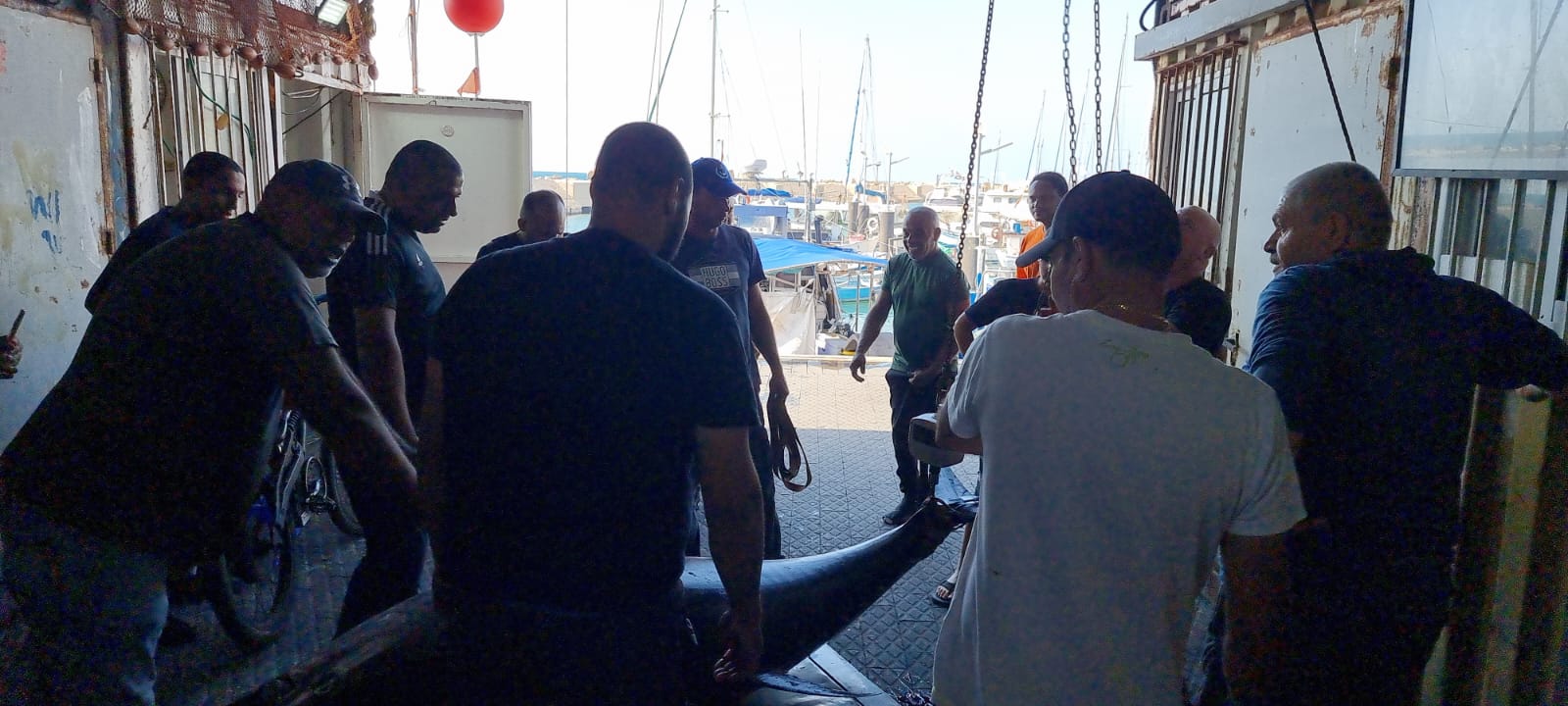 WhatsApp Image 2022-05-25 at 4.38.55 PM (1).jpeg